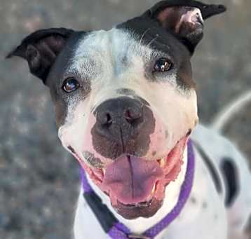 Photo of KiKi
