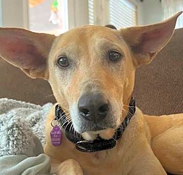 Photo of Sadie MaeMae