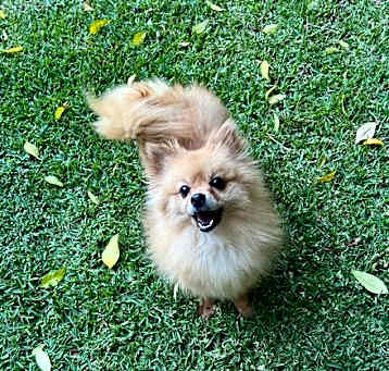 Photo of Sienna