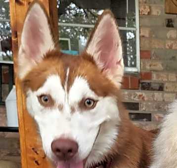 Photo of Zeus