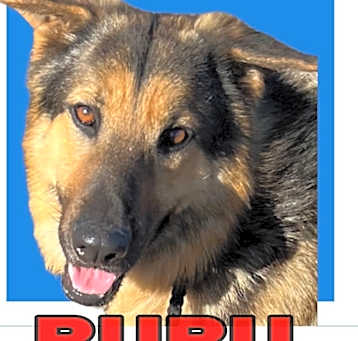 Photo of RuRu