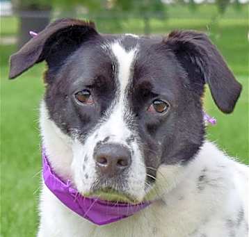 Photo of Ella
