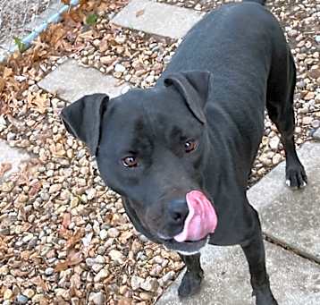 Photo of Spud