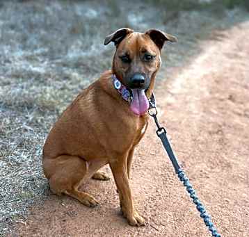 Photo of Phoebe