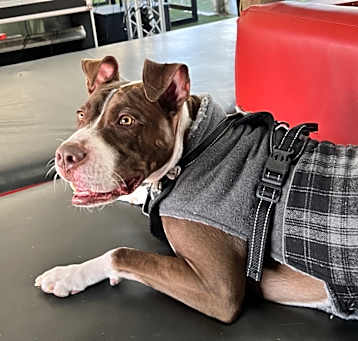 Photo of Benny
