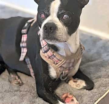 Photo of Charlie