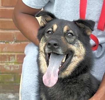 Photo of Woofie