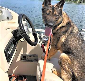 Photo of Kenai