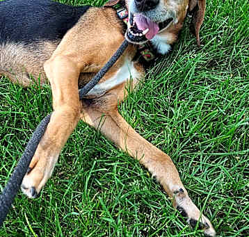 Photo of Cletus