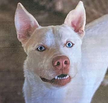 Photo of Spark