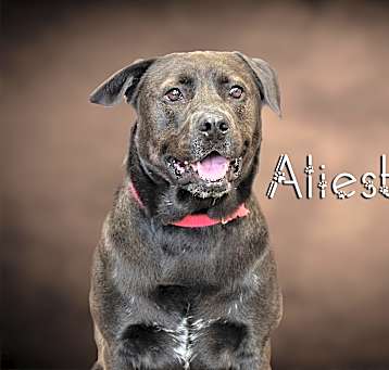 Photo of Aleister