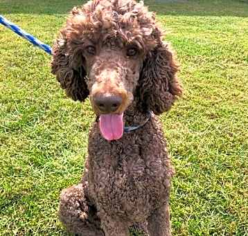 Photo of Posh of Charlotte