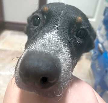 Photo of Maggie