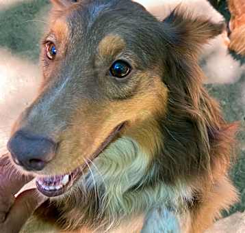 Photo of Murphy
