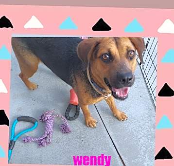 Photo of Wendy