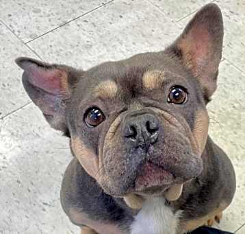 Photo of Mary Lou (Special Needs)