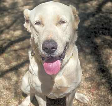 Photo of Bonny