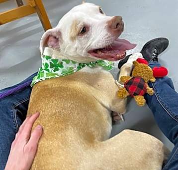 Photo of Buddy