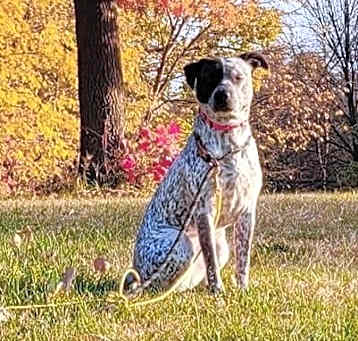 Photo of Maya
