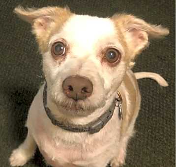 Photo of Brady