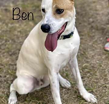 Photo of Ben