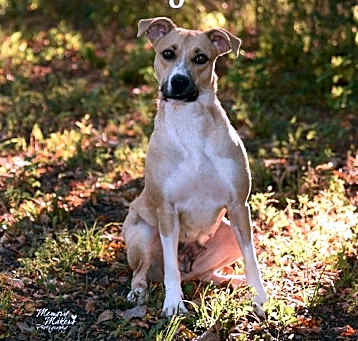 Photo of Felicity