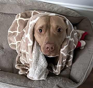 Photo of Abbi