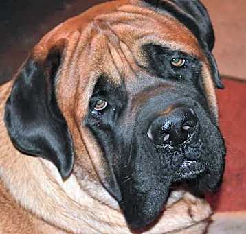 Photo of Sergei