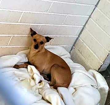 Photo of Paco