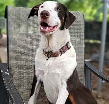 Photo of BeeBop