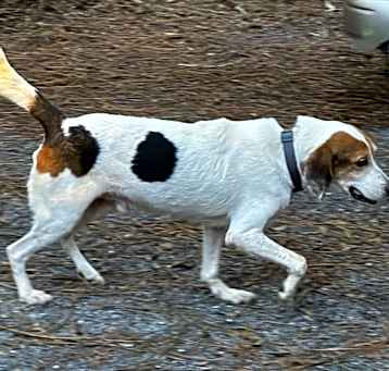 Photo of Mr Peabody