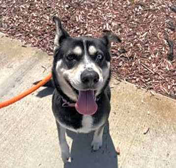 Photo of LUNA