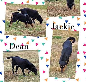 Photo of Jackie & Dean