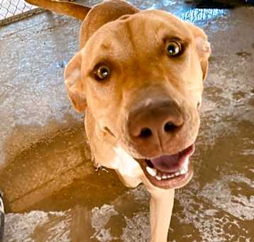 Photo of Jasper