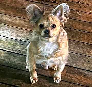 Photo of Stoney