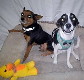 Photo of Micah and Pedro