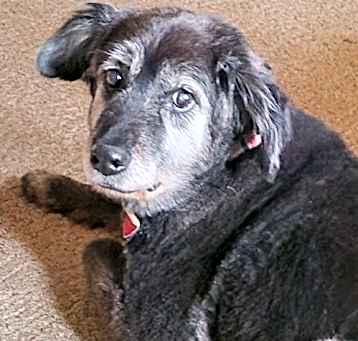 Photo of Sheila