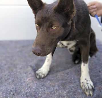 Photo of Oakley