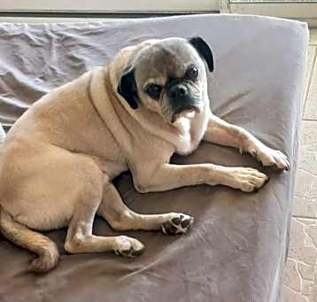 Photo of ROCKY