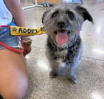 Photo of Toto
