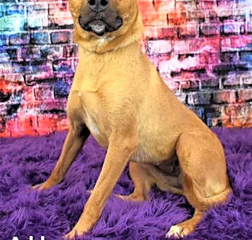 Photo of Addy