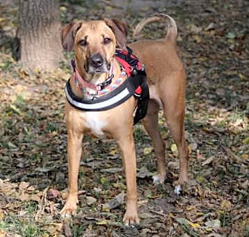 Photo of Gretel