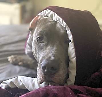 Photo of Myla