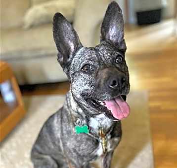 Photo of Heidi