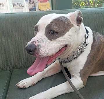 Photo of DIXIE