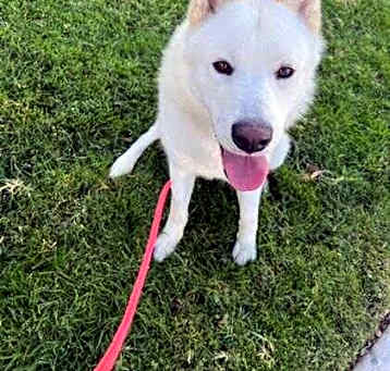 Photo of RYDER