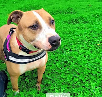 Photo of Sally