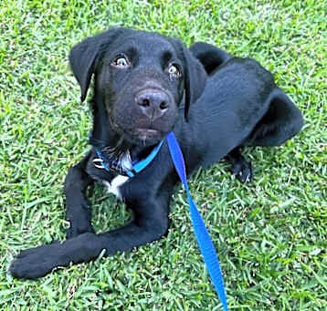 Photo of Oakley