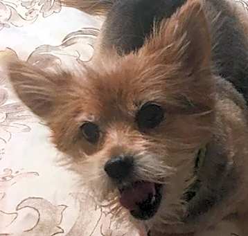 Photo of Lucky3