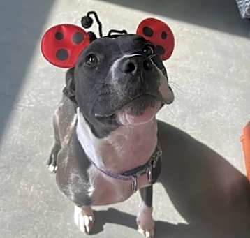 Photo of Jada